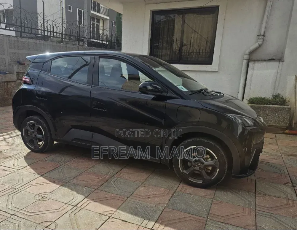 BYD Seagull 2024 Black