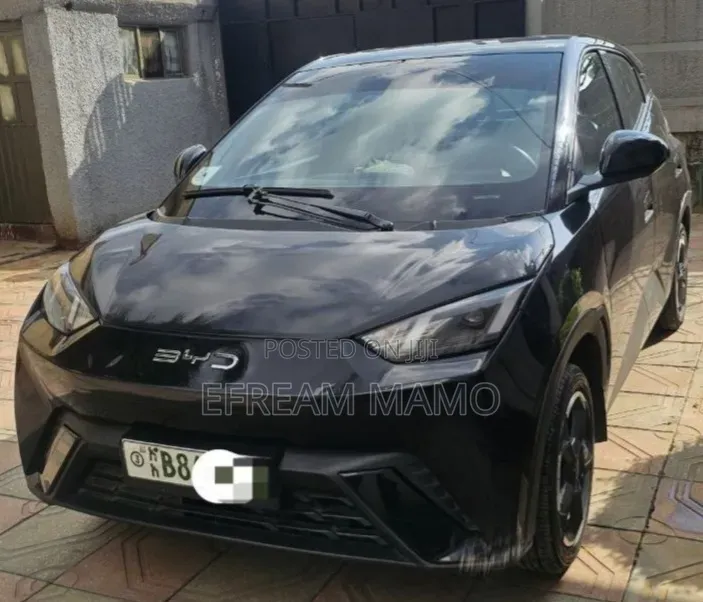 BYD Seagull 2024 Black
