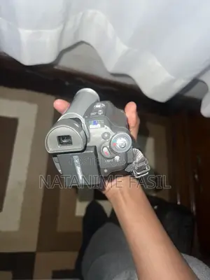 Panasonic PV-GS29 Mini DV Camcorder