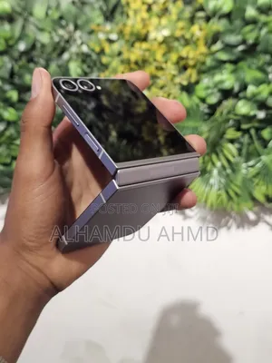 Samsung Galaxy Z Flip6 256 GB