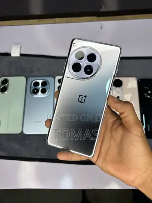 OnePlus 12 512 GB Gray