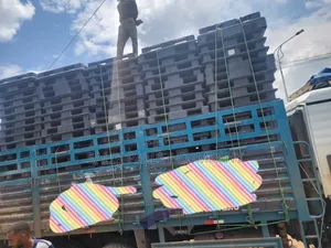 Strong Plastic Pallet