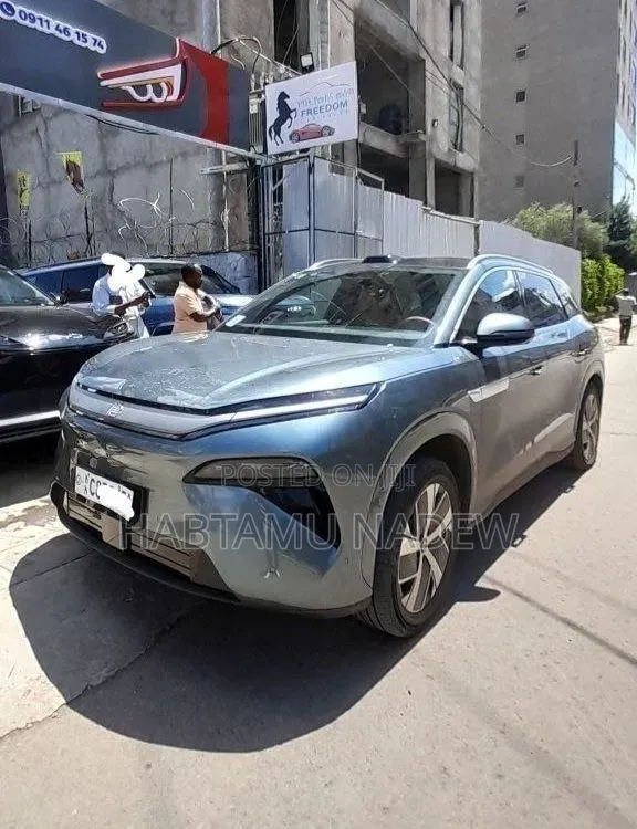 BYD Tang DM-i 2025 Blue