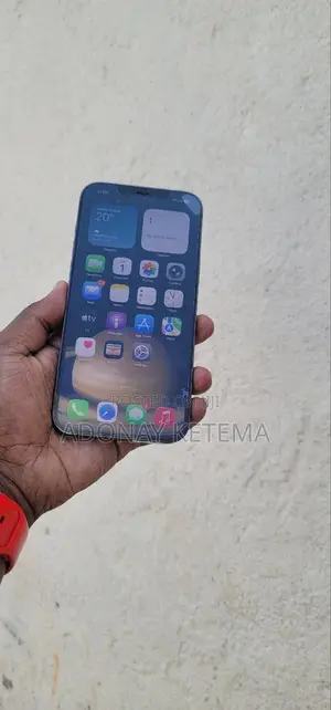 Apple iPhone 12 Pro Max 256 GB Blue