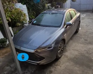 BYD Qin Plus DM-i 2025 Maroon