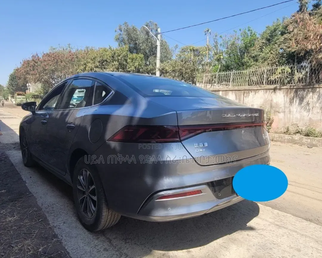 BYD Qin Plus DM-i 2025 Maroon