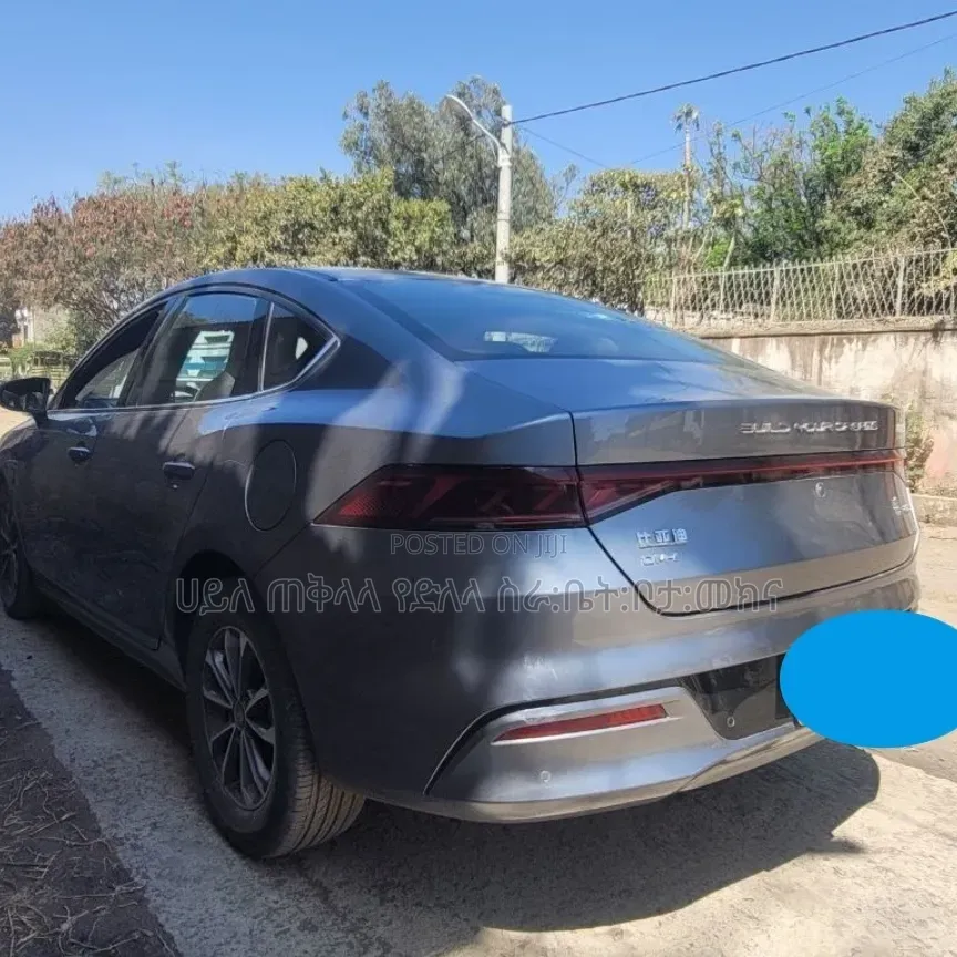 BYD Qin Plus DM-i 2025 Maroon