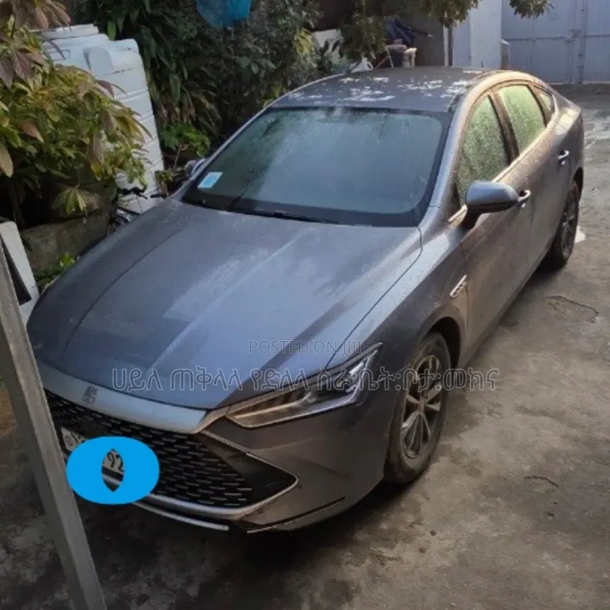 BYD Qin Plus DM-i 2025 Maroon