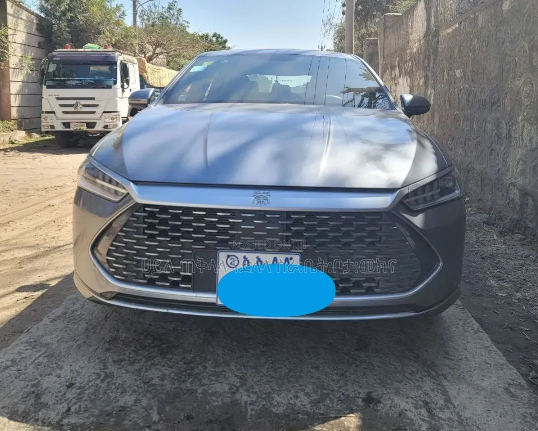 BYD Qin Plus DM-i 2025 Maroon