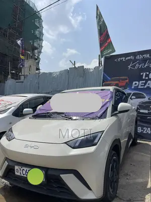 BYD Seagull 2024