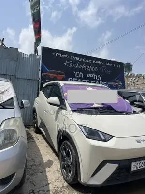BYD Seagull 2024