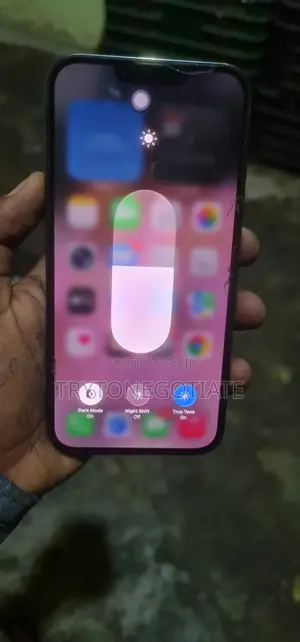 Apple iPhone 13 Pro Max 256 GB Green