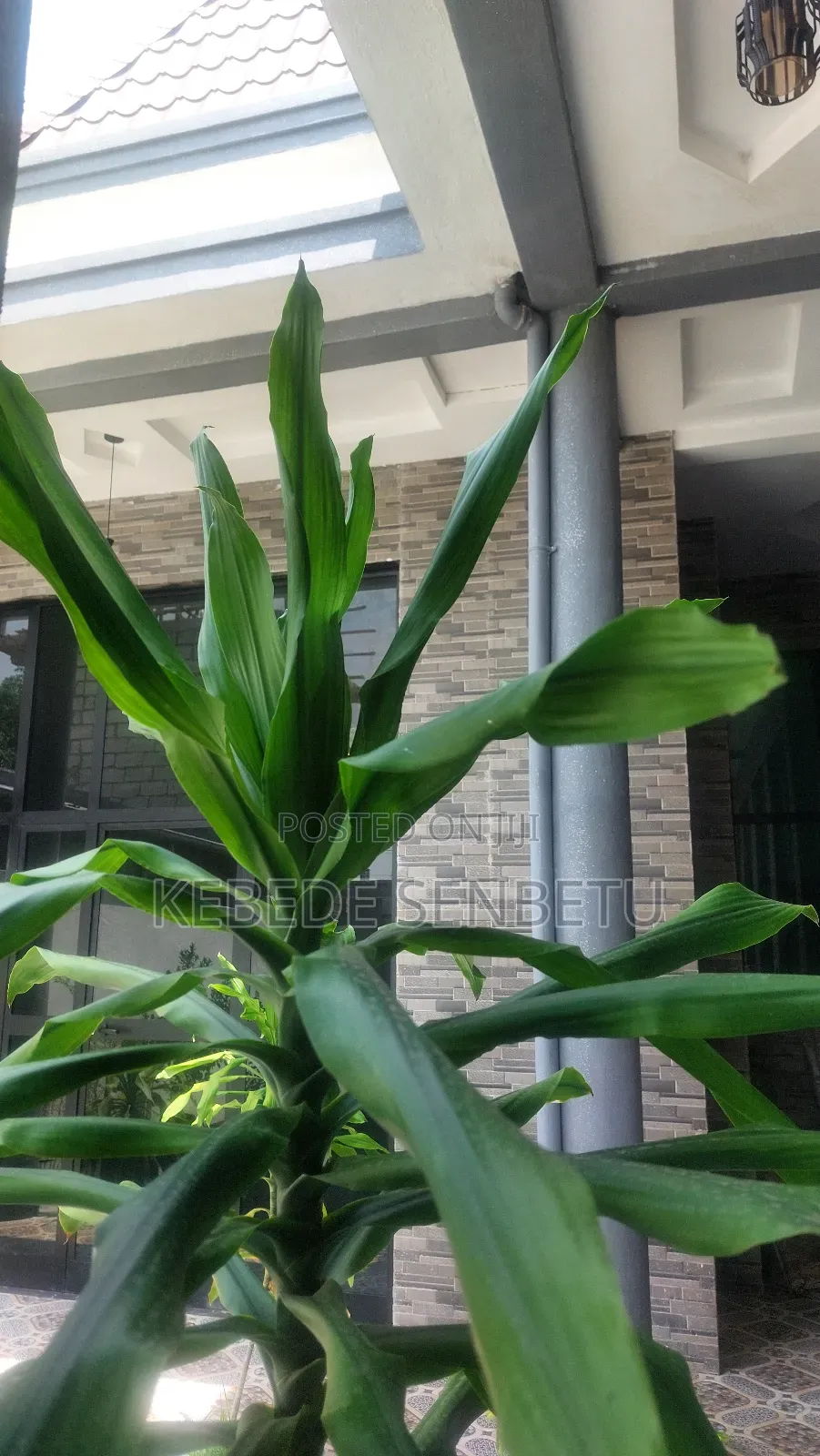 4bdrm House in Oromia, East Shewa for rent