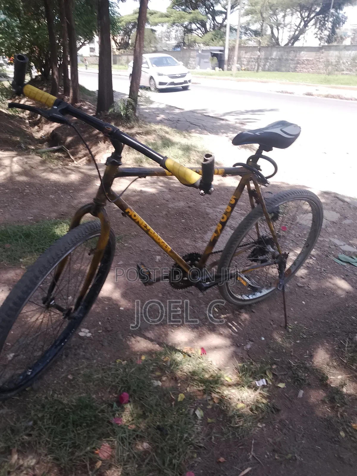 Phoenix Bicycle