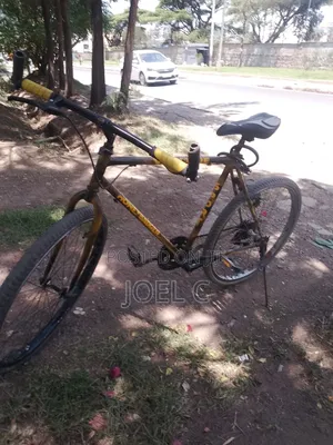 Phoenix Bicycle