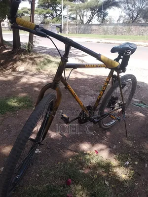 Phoenix Bicycle
