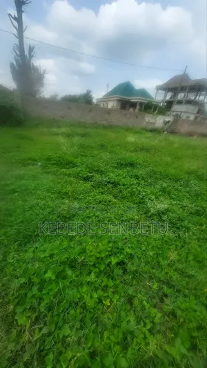 3bdrm House in Oromia, East Shewa for sale