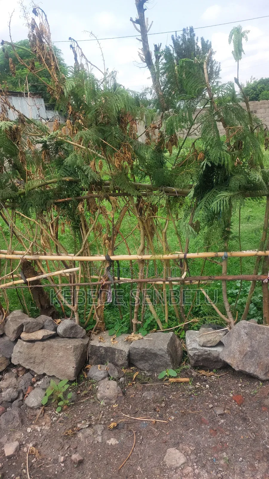 3bdrm House in Oromia, East Shewa for sale