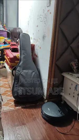 Thick Padded Acoustic Guitar Bag
