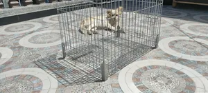 Comfortably Strong Page Pet Cage