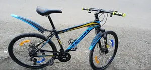 Phoenex Bike
