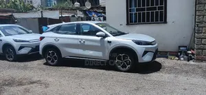 New BYD Yuan Plus 2025 Silver