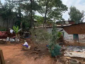 Land for Sale at Kotebe Kara, 278kare