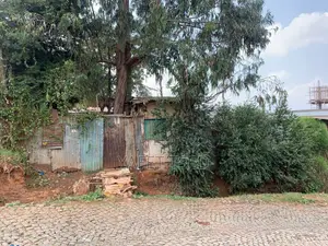 Land for Sale at Kotebe Kara, 278kare