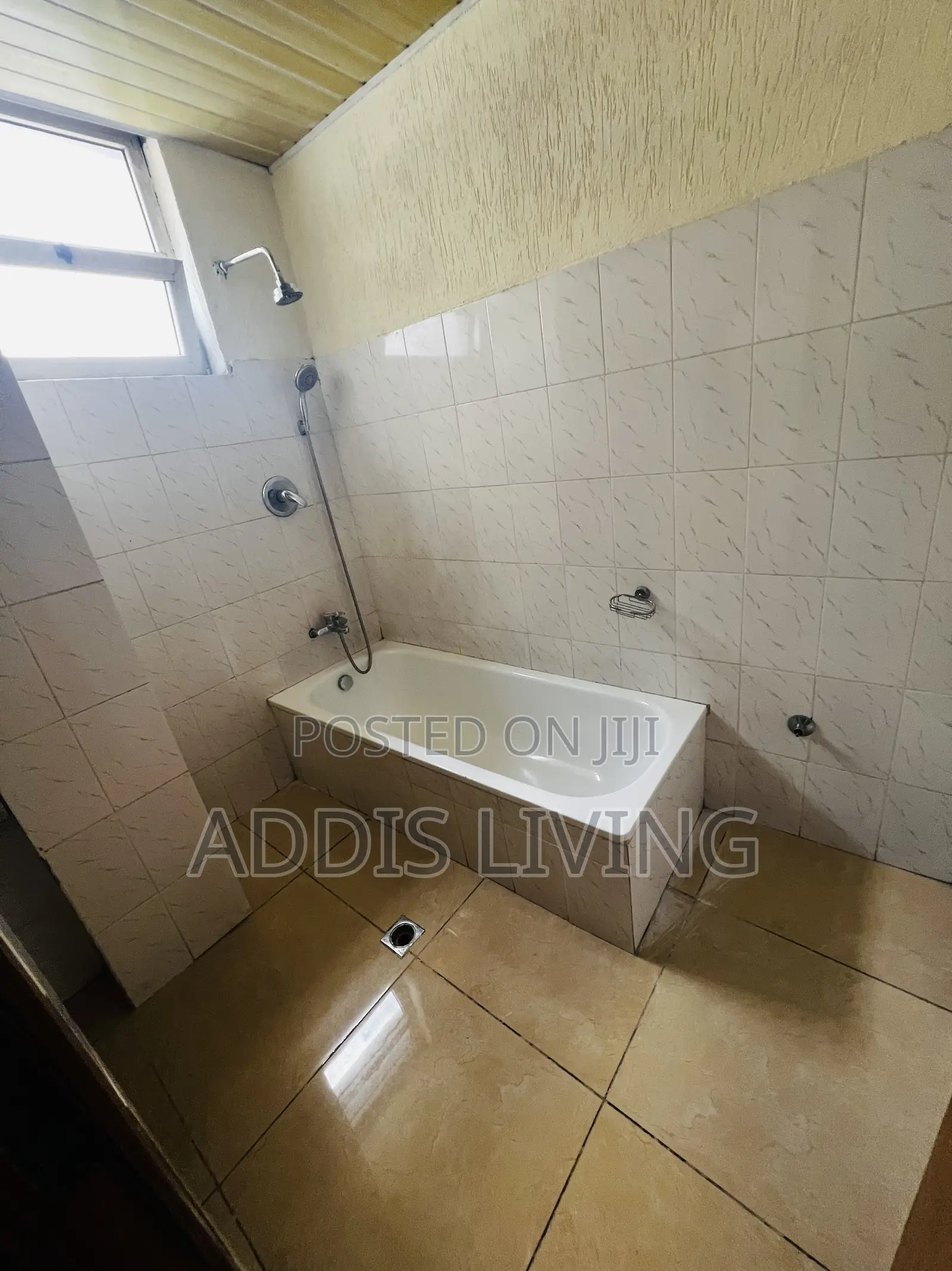 Furnished 1bdrm Apartment in Bole for rent