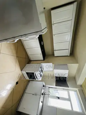 Furnished 1bdrm Apartment in Bole for rent