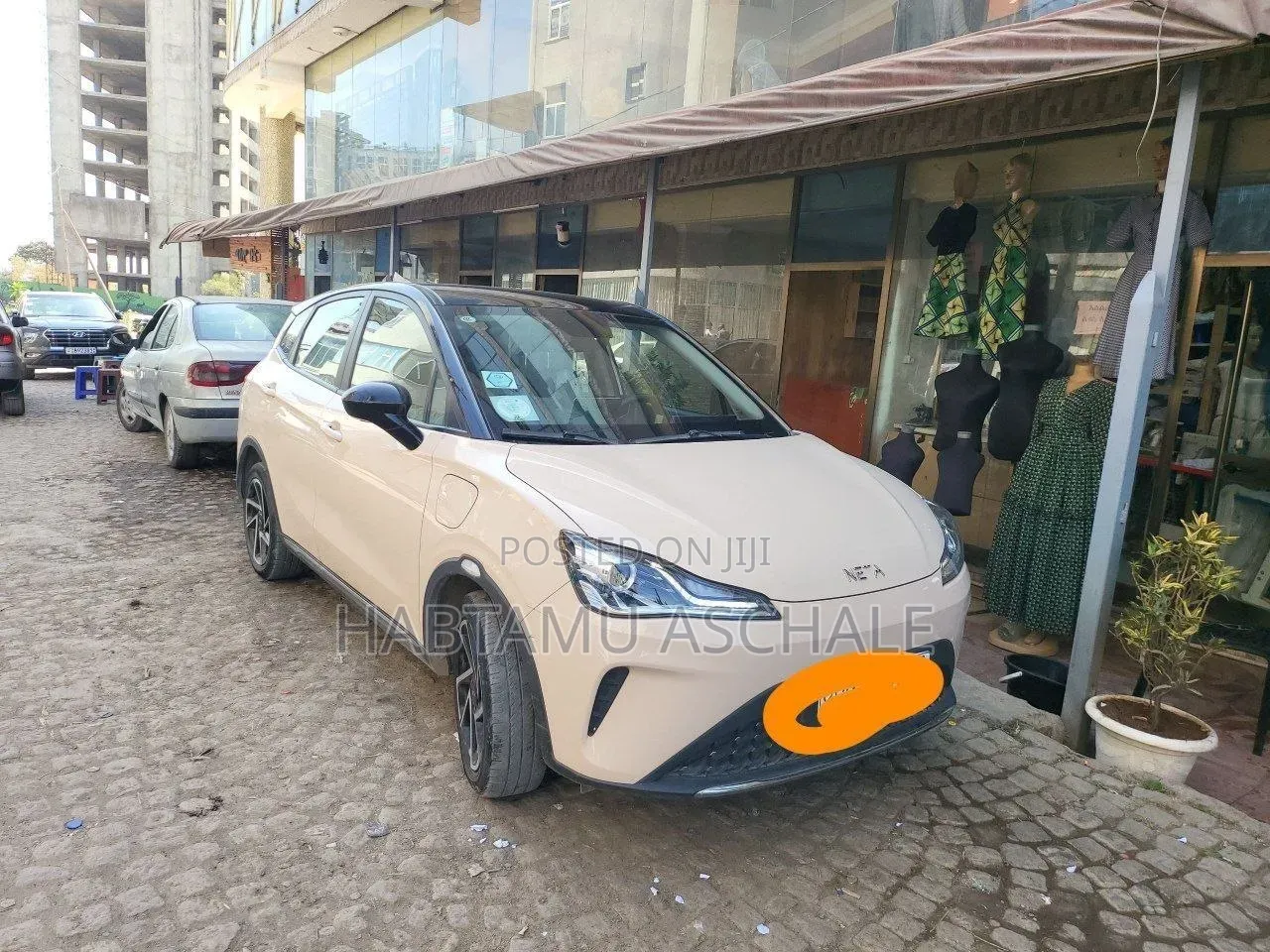 Hozon Neta Aya 2024