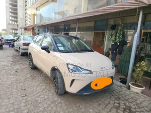Hozon Neta Aya 2024