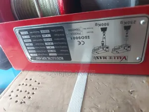 Electrical 500kg Weincha