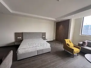 Furnished Studio Apartment in Mexico, Lideta for rent
