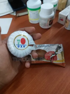 Ganozhi Soap