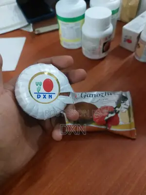 Ganozhi Soap