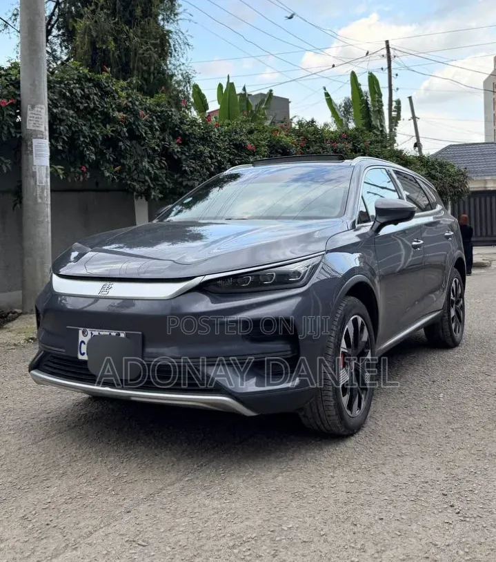 BYD Tang EV 2024 Gray