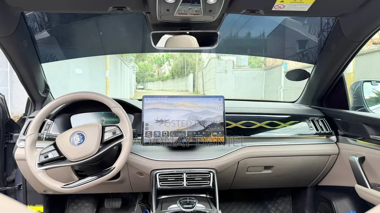 BYD Tang EV 2024 Gray