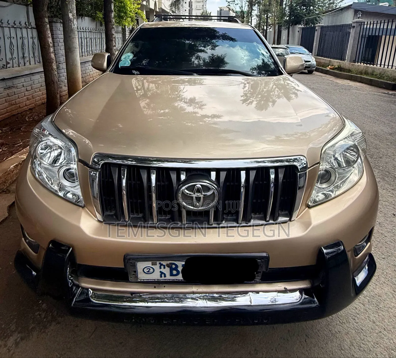 Toyota Land Cruiser 2010 Gold