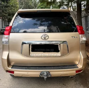 Toyota Land Cruiser 2010 Gold