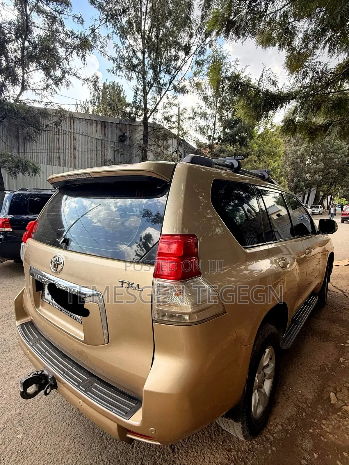 Toyota Land Cruiser 2010 Gold