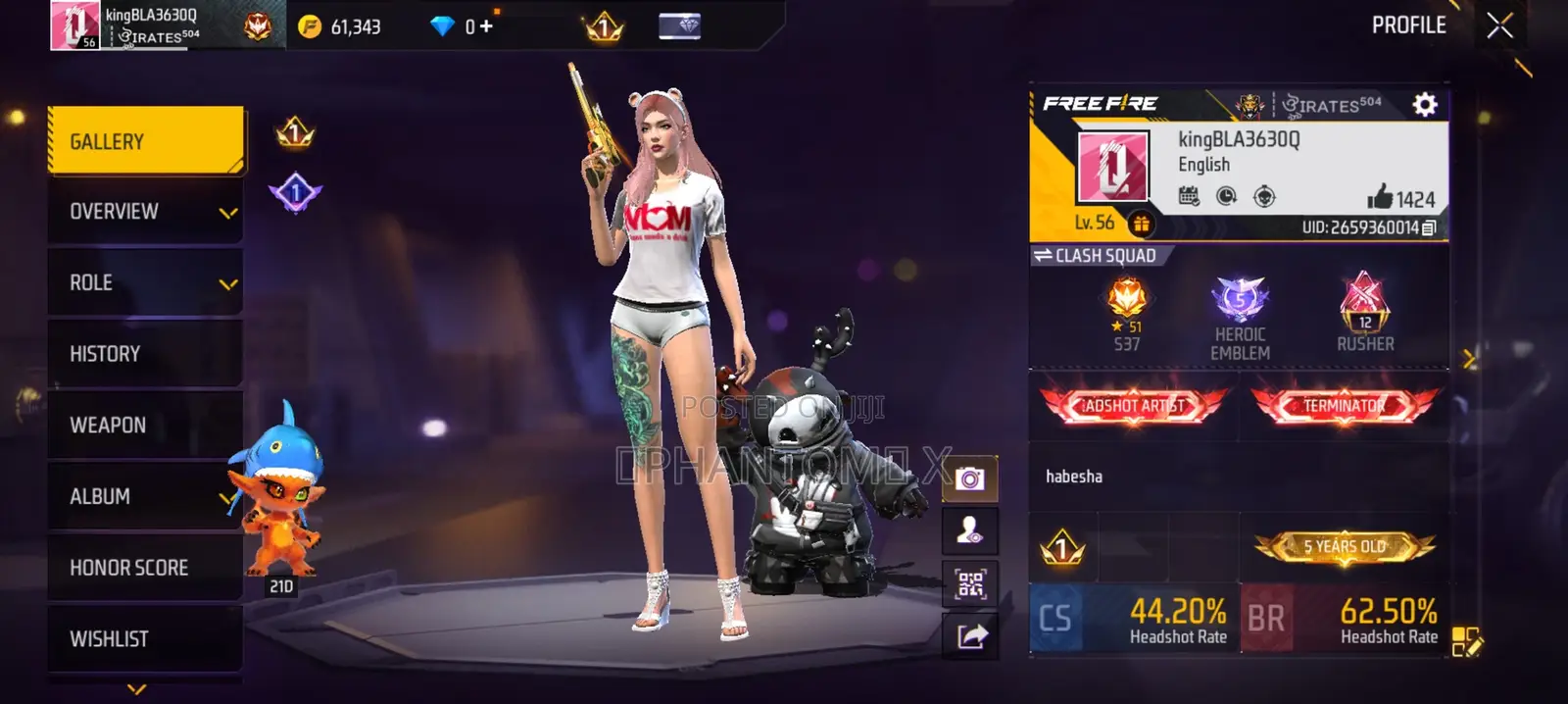 Free Fire Account