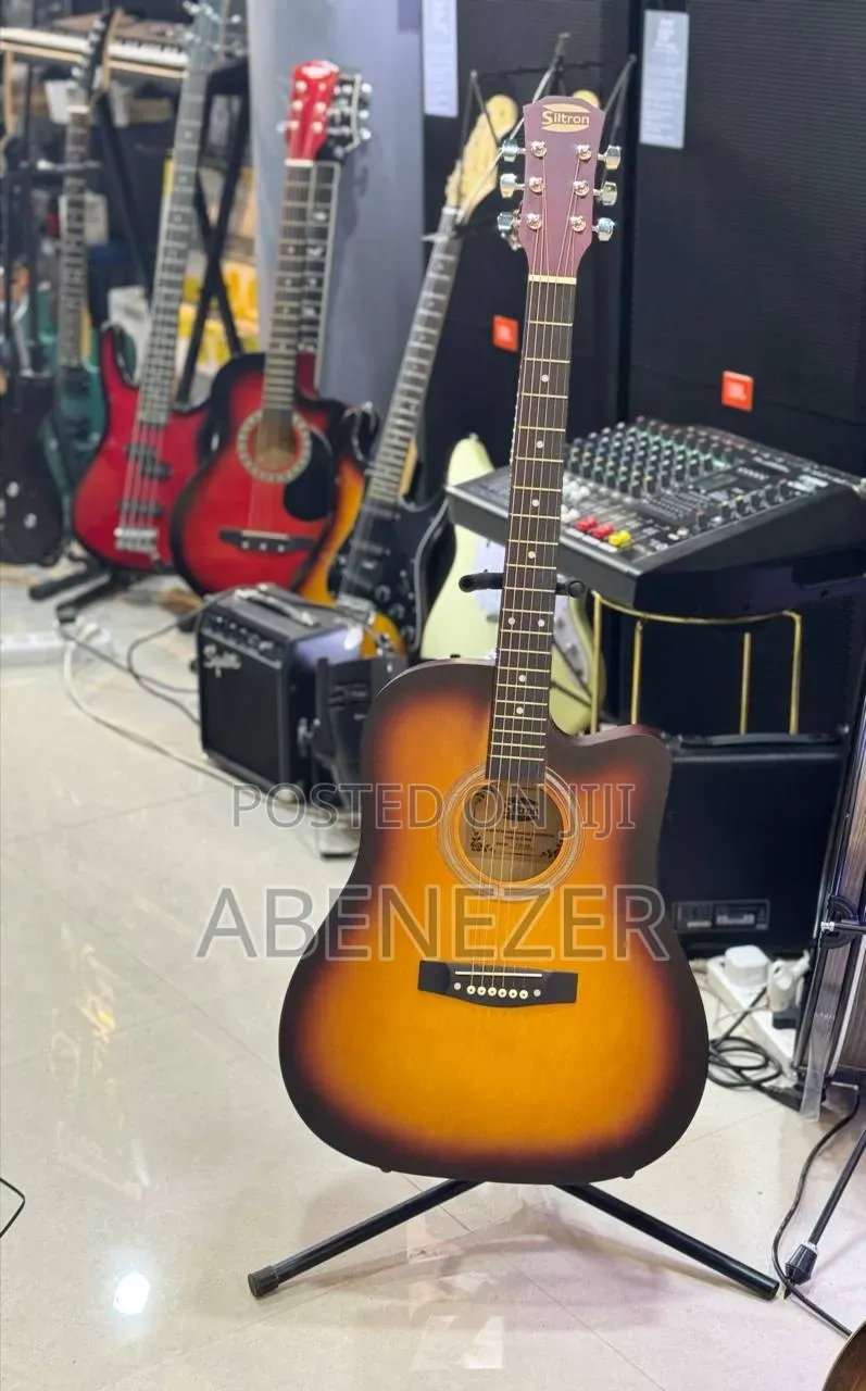 Siltron Guitar