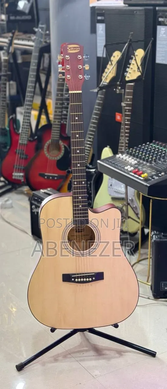 Siltron Guitar
