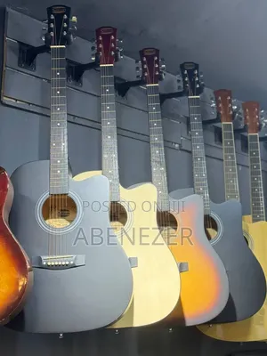Siltron Guitar