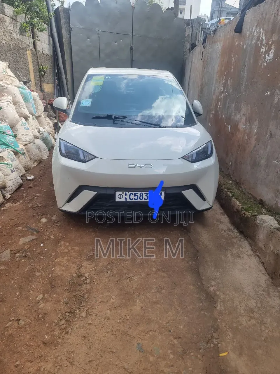BYD Seagull 30 kWh FWD 2024 White