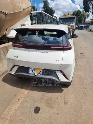 BYD Seagull 30 kWh FWD 2024 White