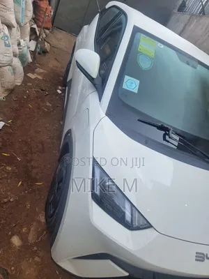 BYD Seagull 30 kWh FWD 2024 White
