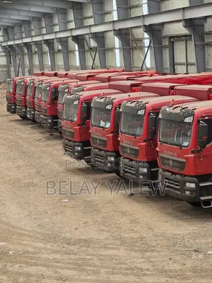 2025 ሲኖ ትራክ ሸራ ያለዉ ሰቶክ ላይ ያሉ