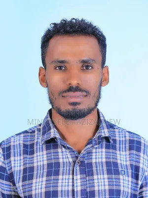 Site Engineer
